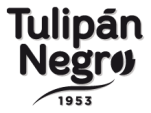 Tulipán Negro for man