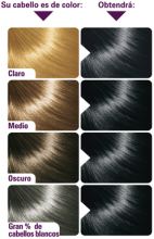 Radiant No. 10 Black Radiant No. 10 Black