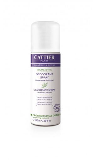 Deodorant Spray Brume Active 100 ml Deodorant Spray Brume Active 100 ml