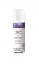 Deodorant Spray Brume Active 100 ml Deodorant Spray Brume Active 100 ml