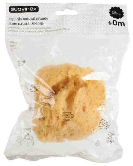 Large Natural Sponge Large Natural Sponge