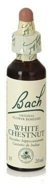 Bach 35 White Chestnut 20 ml Bach 35 White Chestnut 20 ml