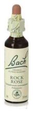 Bach 26 Heliantem or Jar 20 ml Bach 26 Heliantem or Jar 20 ml