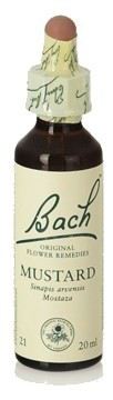 Bach 21 Mustard 20 ml Bach 21 Mustard 20 ml