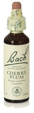 Original Flower Essences Bach 6 Cherry Plum 20 ml