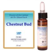Fm 7 Chesnut Bud 10 ml