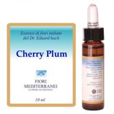 Fm 6 Cherry Plum 10 ml