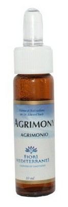 Fm 1 Agrimony 10 ml Fm 1 Agrimony 10 ml