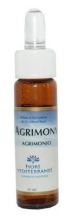 Fm 1 Agrimony 10 ml Fm 1 Agrimony 10 ml