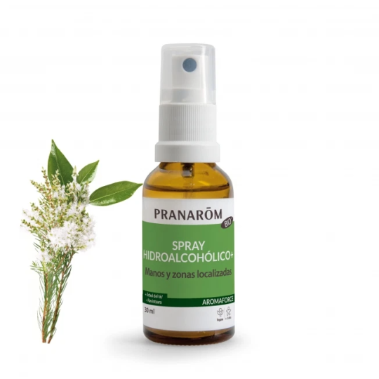 Hydroalcoholic Spray + 30 ml Hydroalcoholic Spray + 30 ml