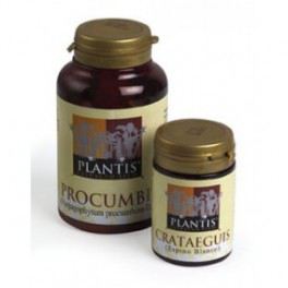 Bilobis Plantis Ginko 60 capsules Bilobis Plantis Ginko 60 capsules