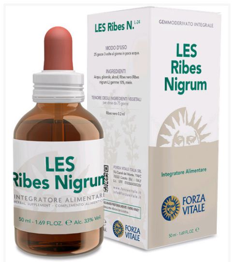 Ribes Nigrum Blackcurrant 50 ml Ribes Nigrum Blackcurrant 50 ml