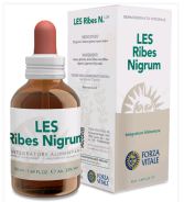 Ribes Nigrum Blackcurrant 50 ml Ribes Nigrum Blackcurrant 50 ml